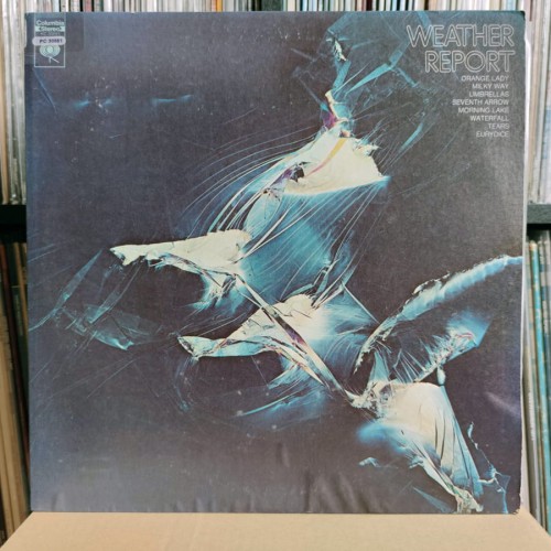 1780243868570.jpg